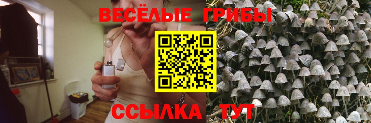 Псилоцибиновые грибы мухоморы Сертолово