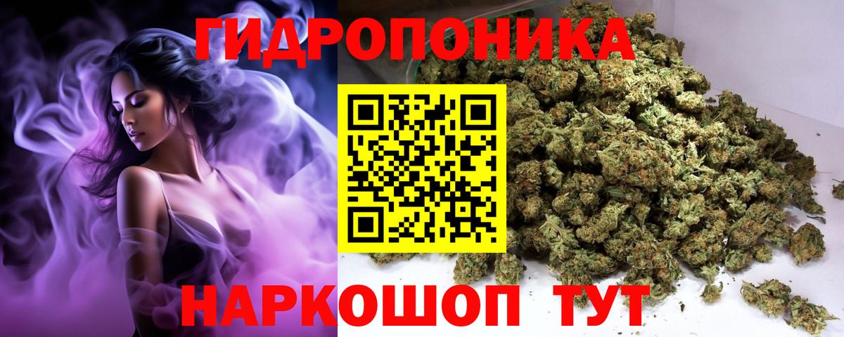 Конопля индика Сертолово